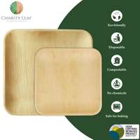 Assiettes jetables carrées en feuilles de palmier naturelles Charity Leaf 10 et 7 pouces - 50 assiettes compostables, biodégradables, écologiques, décontractées