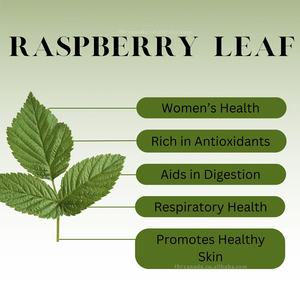 Khô Mâm xôi đỏ lá trà Hoang Dã hữu cơ số lượng lớn lá lỏng lẻo | túi trà tùy chỉnh/pha trộn/Túi/xay chứng nhận ISO HACCP hội thảo - Product Image 2