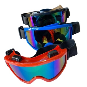 Gafas De Patinaje Sobre Hielo - Moda Y Funcionalidad Para Deportes De Invierno
