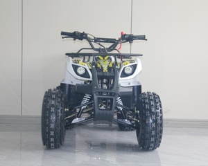 <span class=keywords><strong>Quad</strong></span> électrique tout-terrain 125cc en gros, ATV sportif d'usine avec certification CE, nouveau design, fournisseur de quads 125cc pour enfants et jeunes - Product Image 3