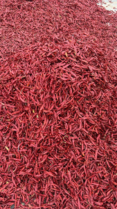 พริกแห้งออร์แกนิคพรีเมียม รสเผ็ดจัดพิเศษ แบบดิบและผ่านกระบวนการผลิต - Product Image 6