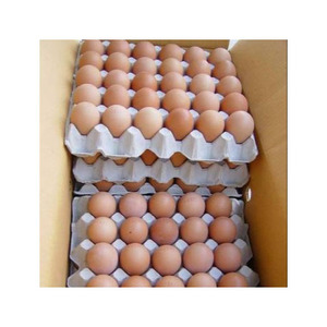 ไข่ไก่สดออร์แกนิกจากบราซิล มีจำหน่ายในสต็อก - Product Image 1