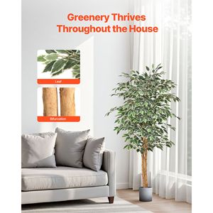 Albero di Ficus Artificiale Realistico da 1,5 Metri con Vaso Nero e Tronco in Legno Naturale per Uso Interno - per Decorazioni Natalizie - Product Image 3