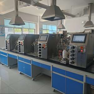 Bailun 10L culture bactérienne à agitation magnétique avant mise à l'échelle des fermenteurs en acier inoxydable - Product Image 5