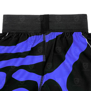 Shorts de boxe brodés, shorts MMA, shorts d'entraînement professionnels de kickboxing, shorts de Muay Thai pour enfants - Product Image 5