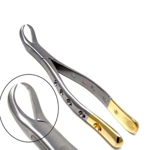 Pinzas de Extracción Dental de Acero Inoxidable Anguladas, Instrumento de Cirugía Oral de Precisión, Extractor Dental Profesional - Product Image 5
