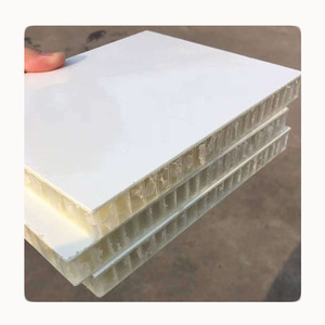Lightweight Beautiful Frp Skin Rv Composite Panels for Pig Farming Factory Direct New Condition - Product Image 5