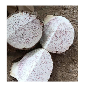Cubos de taro congelados de origen vietnamita para aplicaciones minoristas y de servicios de alimentos - Product Image 3