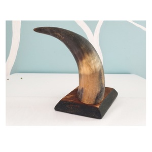Vase décoratif en corne de buffle, forme irrégulière, effet vieilli, pièce unique - Product Image 3