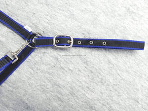 Vente en gros de licol de course équestre réglable en nylon de qualité supérieure laisse de cheval de 2 mètres personnalisée OEM/ODM - Product Image 6