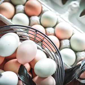 Proveedor mayorista de huevos de gallina orgánicos frescos blancos, con 12 meses de duración, almacenamiento a temperatura ambiente, procedentes de Austria. - Product Image 3