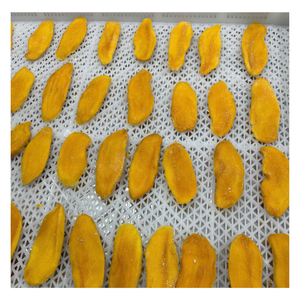 Rodajas de Mango Seco Suave de Vietnam Premium, Suministro a Granel, Sabor Dulce Natural, Textura Suave y Masticable, Snack Saludable, Ideal para Venta al por Menor - Product Image 1