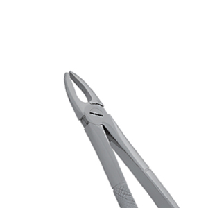 ARISTON INTERNATIONAL Forceps d'extraction dentaire de haute qualité, modèle anglais, en acier allemand, pince manuelle à vendre - Product Image 2