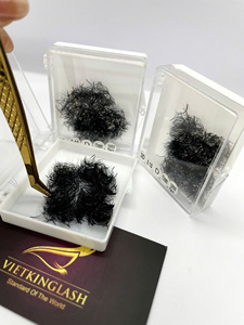 Extensions de cils volume pré-faites 3D 6D en PBT coréen, noir mat, courbure D, base fine et pointue, 7-25mm, marque privée - Product Image 6