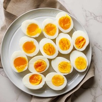 Œufs de poule frais blancs, œufs de table, carton de 30 unités