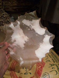 Peaux de tambour en poils de chèvre et de vache, accessoires pour instruments de musique - Product Image 4