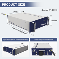 Source laser à fibre Raycus 3000W RFL-C3000S-CE, module unique CW pour machine de découpe et de soudage industrielle des métaux