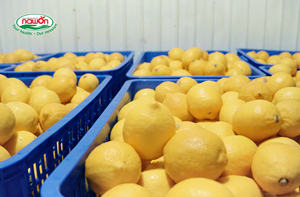 Producto Popular, Bebida de Jugo de Mango 100% en Lata de 330 ml, Bebida Fría, Muestra Gratis, NAWON, Venta al por Mayor de Alimentos y Bebidas, Jugo de Frutas en Vietnam, HALAL - Product Image 6