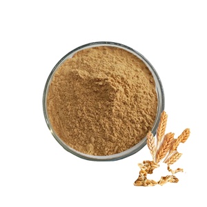 Extrait de germe de blé pur naturel certifié ISO 2025, qualité supérieure, qualité alimentaire, culture sauvage, exportateur indien, vente en gros, promotion - Product Image 1