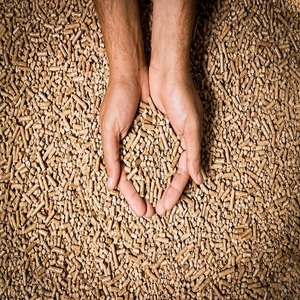 Venta al por mayor de fábrica: Pellets de madera de pino para calefacción, 6mm, combustible de biomasa en sacos, combustión limpia, alto poder calorífico, bajo contenido de humedad, suministro a granel. - Product Image 5