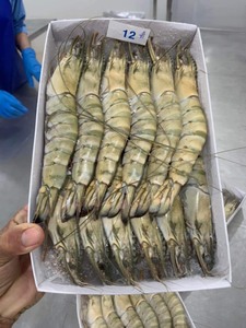 CAMARONES VANNAMEI BLANCOS CONGELADOS DE MARCA OEM, TODAS LAS TALLAS DISPONIBLES - Product Image 1