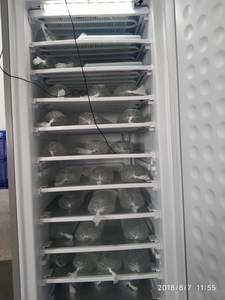 Congélateur vertical commercial à glace 220V 198 L sur mesure à énergie solaire avec congélateur supérieur 65-70 kg 11 niveaux - Product Image 3