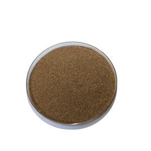Poudre de Myrtille LuteBerry avec Extrait Herbal de Lutéine, Qualité Alimentaire Halal, Emballée Sous Vide pour la Santé Oculaire et les Aliments & Compléments - Product Image 1