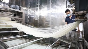 <b>Noodles</b> made from 100% pure sweet potato starch transparent like glass no additives packaged in bulk quantities of 200g/10kg - Product Image 2