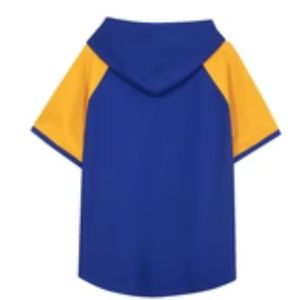 Sweat à capuche à manches courtes en molleton technique Sigma Gamma Rho SGRho Bleu Or, Vêtement grec de qualité supérieure pour sororité - Product Image 2