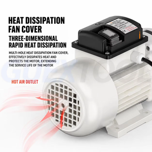 Bomba de diafragma eléctrica de 220V de alta presión, resistente a la corrosión, para transferencia de productos químicos en bidones y barriles, para urea/ácido acrílico. - Product Image 4