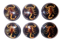 Scorpion doré, spécimen réel, cabochon rond en plastique noir moderne, 38,5x38,5 mm, fond plat, pour artisanat et fabrication de bijoux