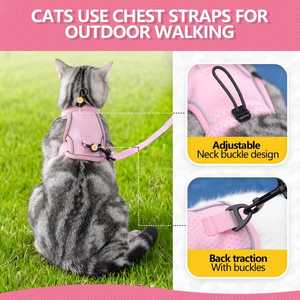 Harnais pour chat de haute qualité personnalisé OEM avec collier, style tactique, imperméable et harnais pour chien - Product Image 3