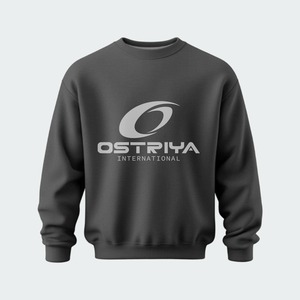 2026 Winter Men's Pullover Sweatshirt 100% Cotton Fleece Crew Neck Lightweight Comfortable Fabric Breathable Regular Fit - Product Image 6