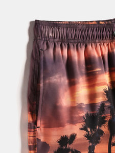 Shorts de Playa Palm Beach Personalizados, Talla Grande, Casuales de Verano, para Natación, con Logotipo Personalizado, Shorts para Hombre a Precio Económico, OEM, Transpirables, Estampados - Product Image 3