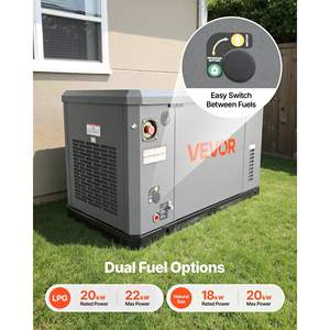 Générateur de secours à double carburant 22 kW de puissance maximale, écran LCD, régulation de tension AVR pour la sauvegarde de toute la maison, gaz naturel 20 kW de puissance maximale - Product Image 3