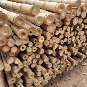 Varas de bambú ecológicas para construcción, jardinería, paisajismo, decoración de interiores y artesanías. - Product Image 2