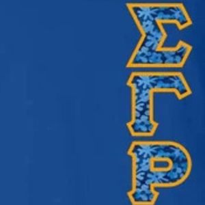 Camiseta Clásica de Manga Corta con Cuello en V para Mujer de la Hermandad Sigma Gamma Rho, con Letras Griegas, Cómoda, Informal y a la Moda, Venta al Por Mayor - Product Image 3
