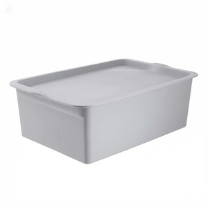 OEM Custom PP Plastic Storage Box With Lid For Closet Organizer - Product Image 3