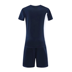 Uniformes de Voleibol Personalizados, Camiseta y Pantalones Cortos, Sublimados, de Secado Rápido, para Hombre y Mujer - Product Image 3