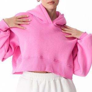 Sudadera Corta de Algodón Personalizada al por Mayor para Mujer, Sudadera Corta de Moda Urbana para Mujer, Sudadera con Logotipo Personalizado para Yoga, Gimnasio, Deportes y Entrenamiento - Product Image 2