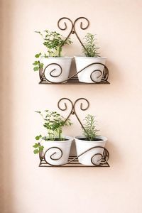 <b>Vintage</b> Metal Wall Flower <b>Stands</b> With Powder Coated Finish For Indoor Green <b>Plants</b> Rustic Design - Product Image 3