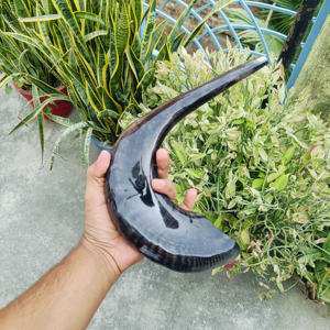 Shofar de Cuerno de Carnero Natural Pulido a Mano, Regalo Espiritual, Decorativo, Ecológico, con Patrones Únicos, Religioso - Product Image 1