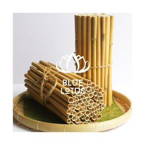 หลอดดูดน้ำไม้ไผ่ขายดี พกพาสะดวก เหมาะสำหรับปิกนิกและเดินป่า คุณภาพพรีเมียม ผลิตจากไม้ไผ่บริสุทธิ์ - Product Image 1