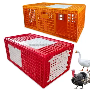 ZB LMC 04 three doors top open Live poultry chicken transport crate plastic transport