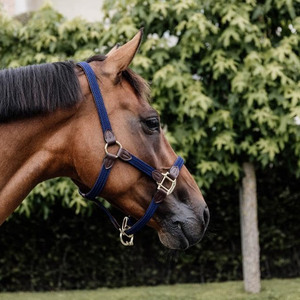 Harnais de polo professionnel, design robuste pour l'entraînement, la manutention, le contrôle de l'écurie et les performances équestres. Harnais de polo sportifs. - Product Image 6