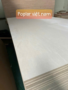 ไม้อัดป็อปลาร์ขนาด 9 มม.-21 มม. คุณภาพชั้นหนึ่ง แกนยาง สำหรับงานเฟอร์นิเจอร์ ระดับ E0 E1 สำหรับการสร้างเฟอร์นิเจอร์ ผู้ผลิตขายส่ง - Product Image 6