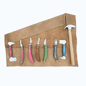 Kit de herramientas para herrador con martillo, cortador de doble punta, cuchilla D, cuchillo para pezuñas, bucle para abscesos Rainbow y dos cuchillos para pezuñas con extremo de latón - Product Image 1