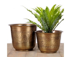 Macetas de Hierro para Viveros al por Mayor, Duraderas, Ligeras, con Recubrimiento en Polvo, Ecológicas, para Jardinería - Product Image 4
