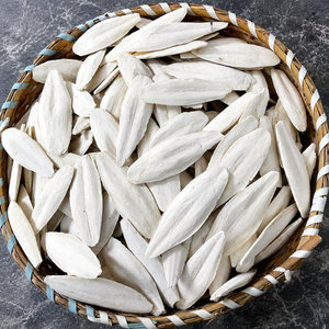 Best Quality Dried Trimmed Bleached Cuttlefish Bone Top Grade ISO Certified Bird Food/ Ms. ALINA - Product Image 5