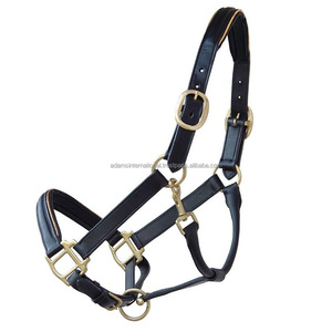 Halter de caballo de cuero Premium clásico con un acolchado suave | Fabricante Mayorista de cabestros de cuero para equipos de caballos - Product Image 1